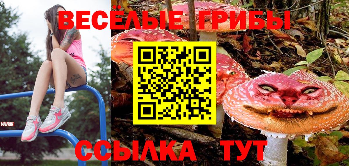 Галлюциногенные грибы Magic Shrooms  Вход с VPN  Геленджик  Галлюциногенные грибы Magic Shrooms 